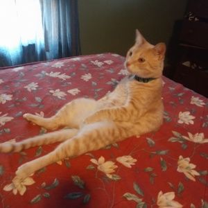 Meet your Posher, Sara